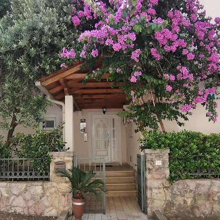 Apartments Maris Petrovac Exterior foto
